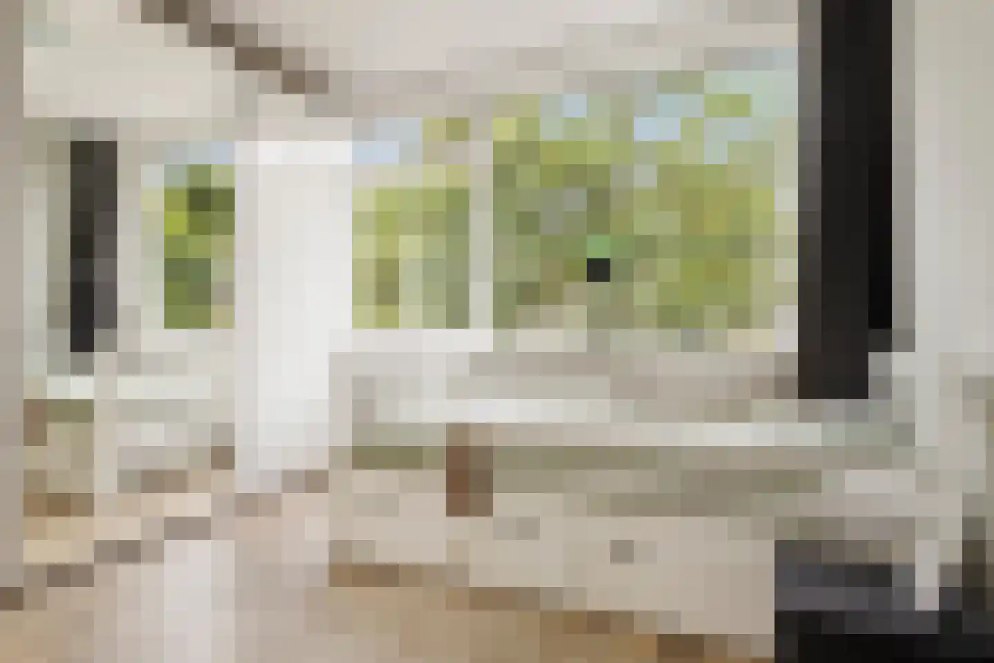 Duindoornstraat 24 Groningen thumbnail 25