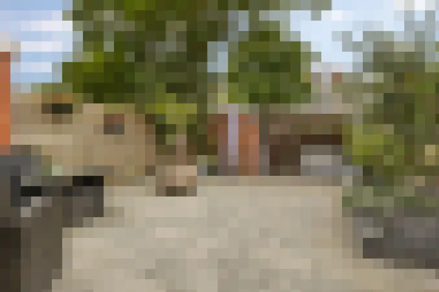 Duindoornstraat 24 Groningen thumbnail 33