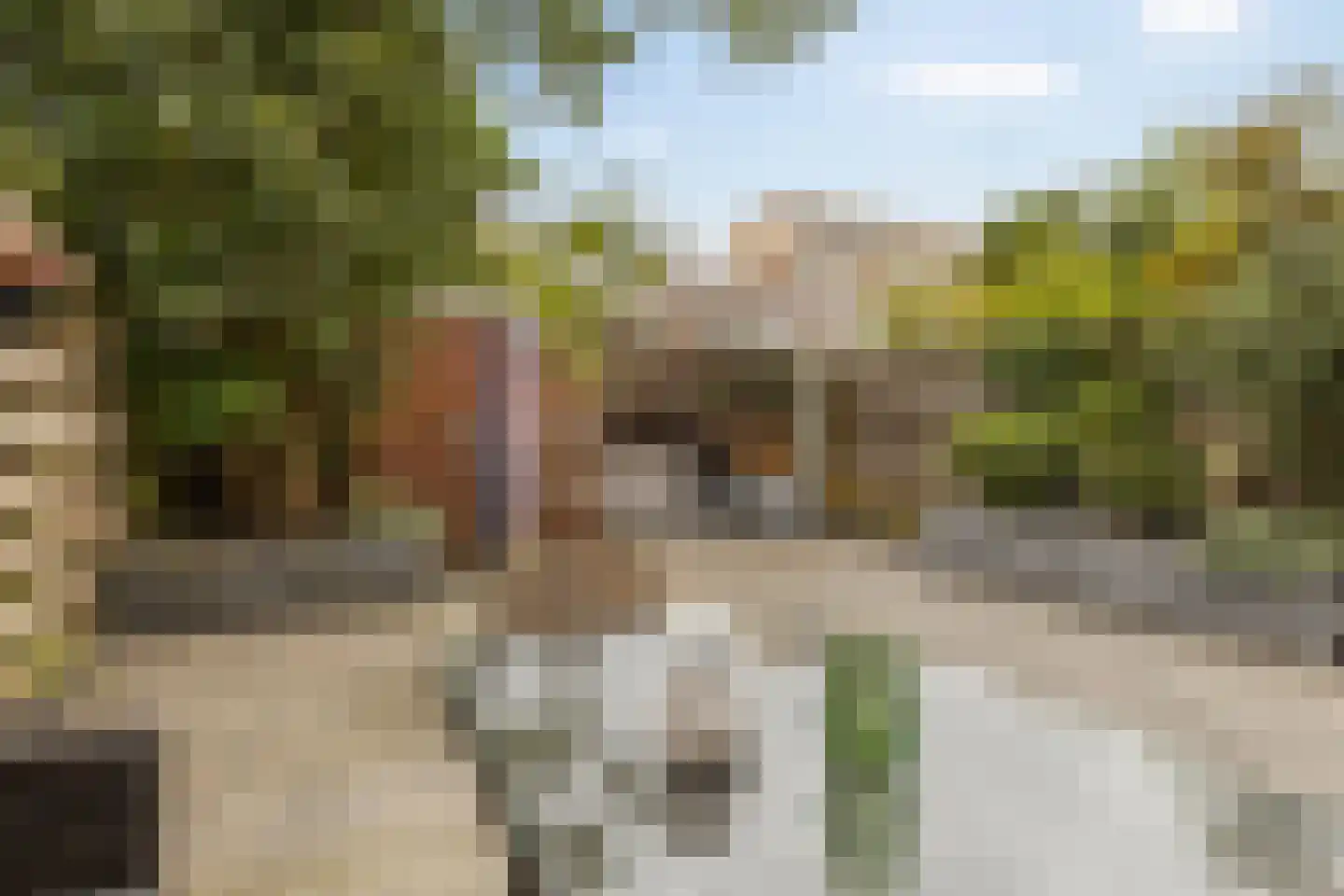 Duindoornstraat 24 Groningen thumbnail 34