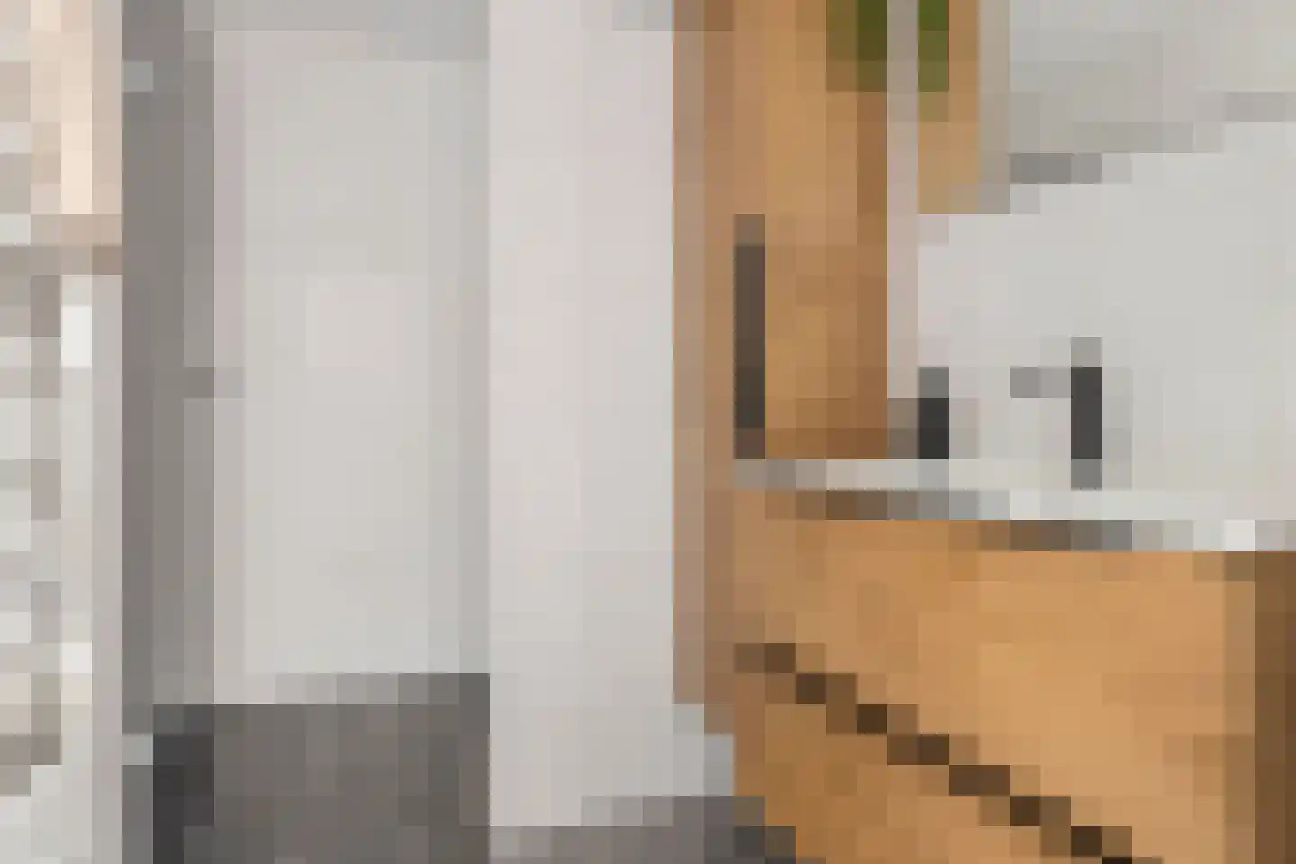 Duindoornstraat 24 Groningen thumbnail 4
