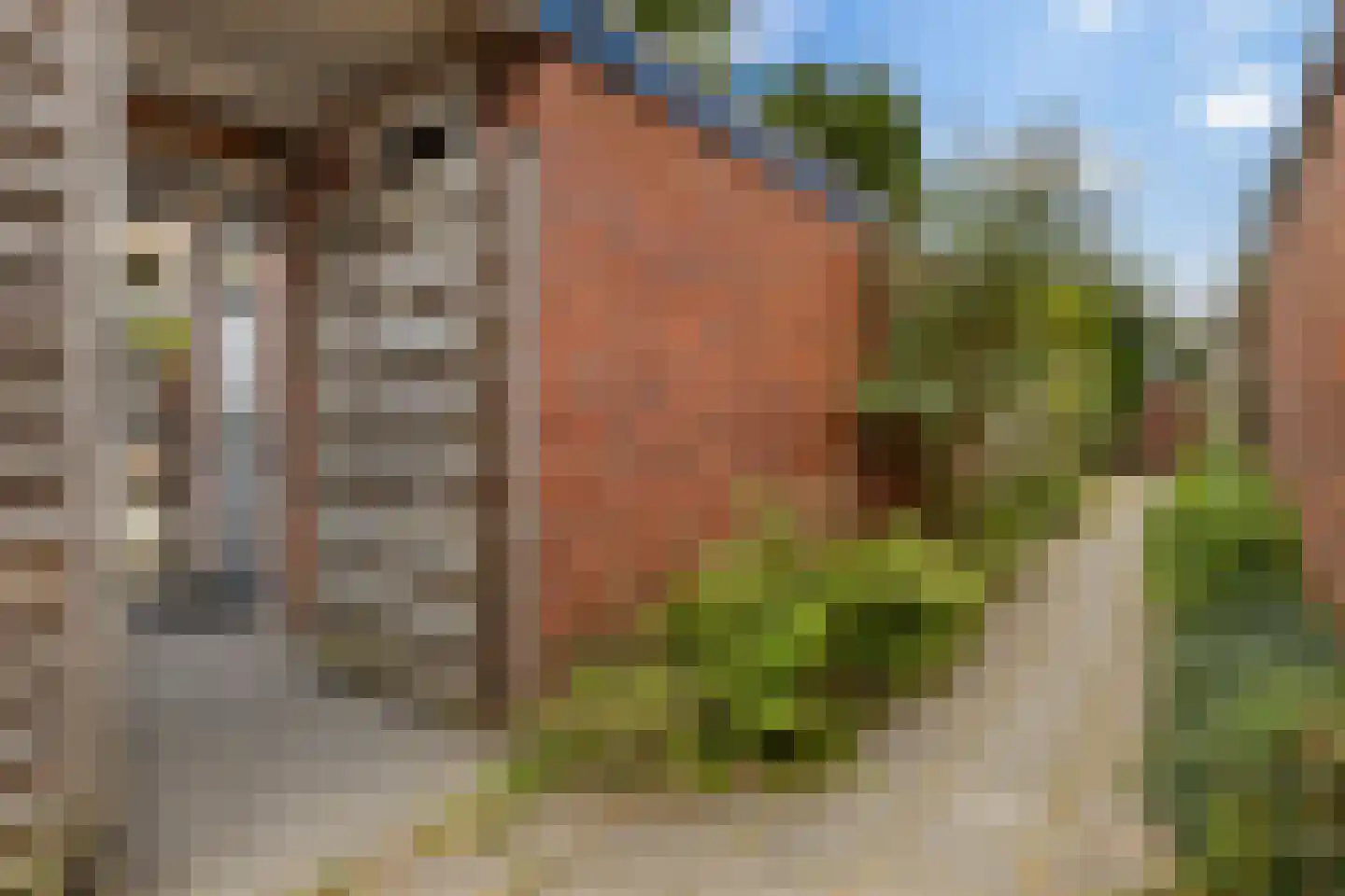 Duindoornstraat 24 Groningen thumbnail 40