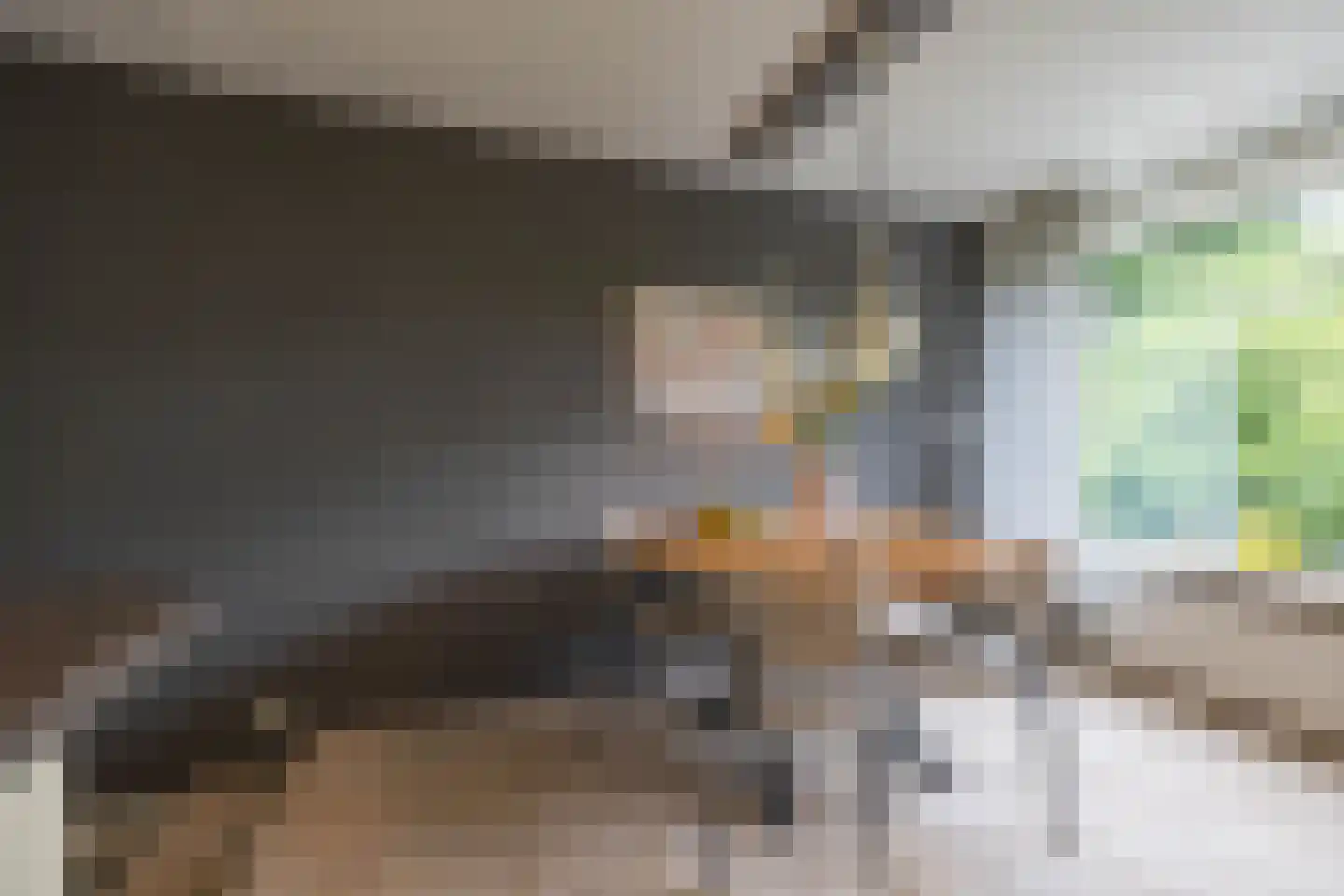Duindoornstraat 25 Groningen thumbnail 16