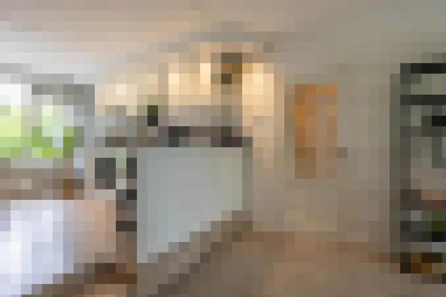 Duindoornstraat 25 Groningen thumbnail 17