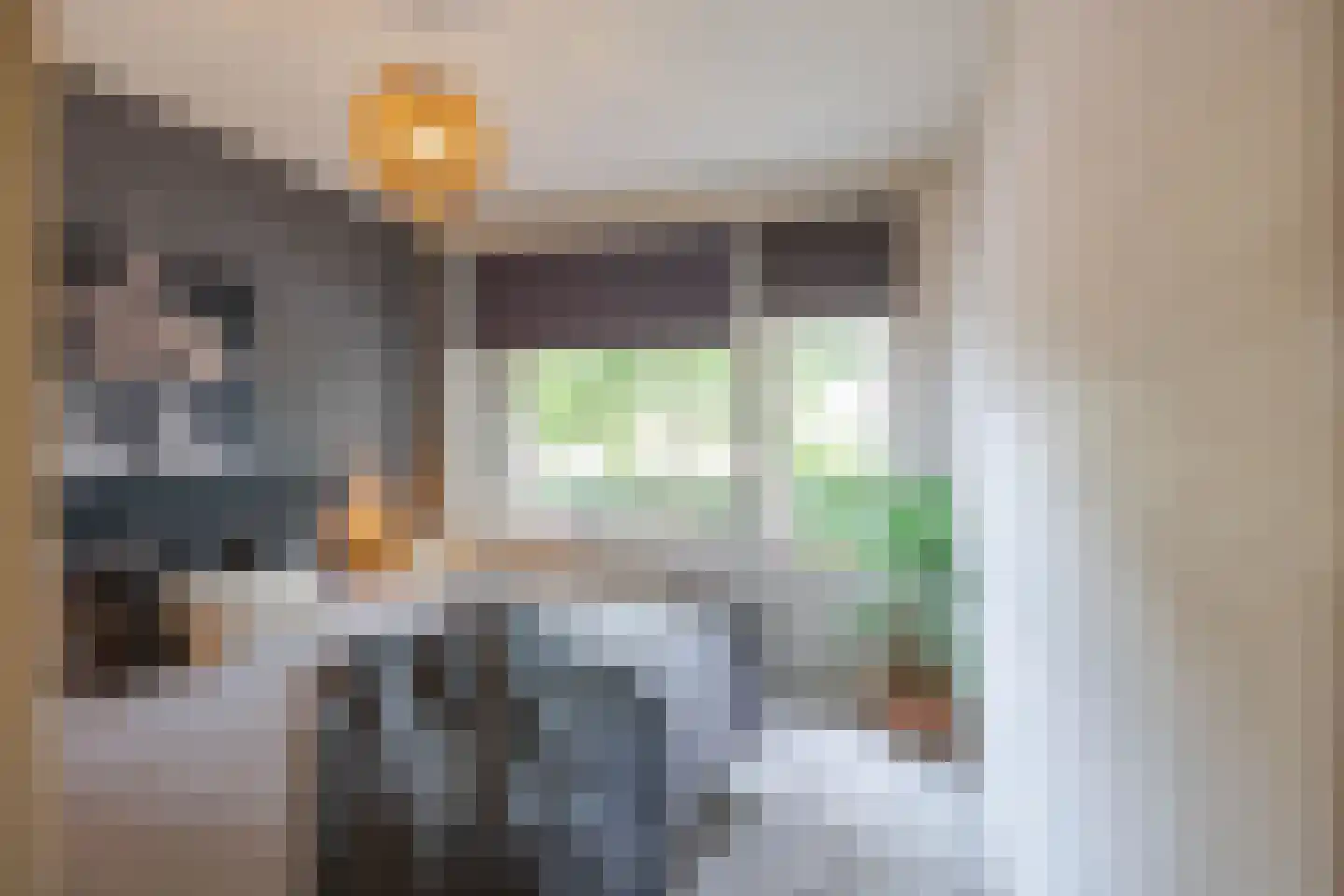 Duindoornstraat 25 Groningen thumbnail 19
