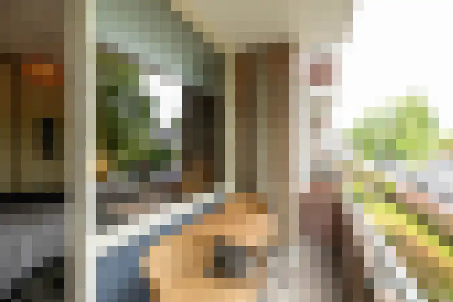 Duindoornstraat 25 Groningen thumbnail 22