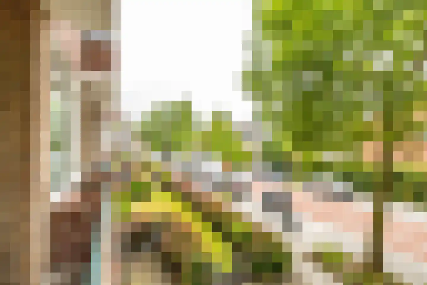 Duindoornstraat 25 Groningen thumbnail 23