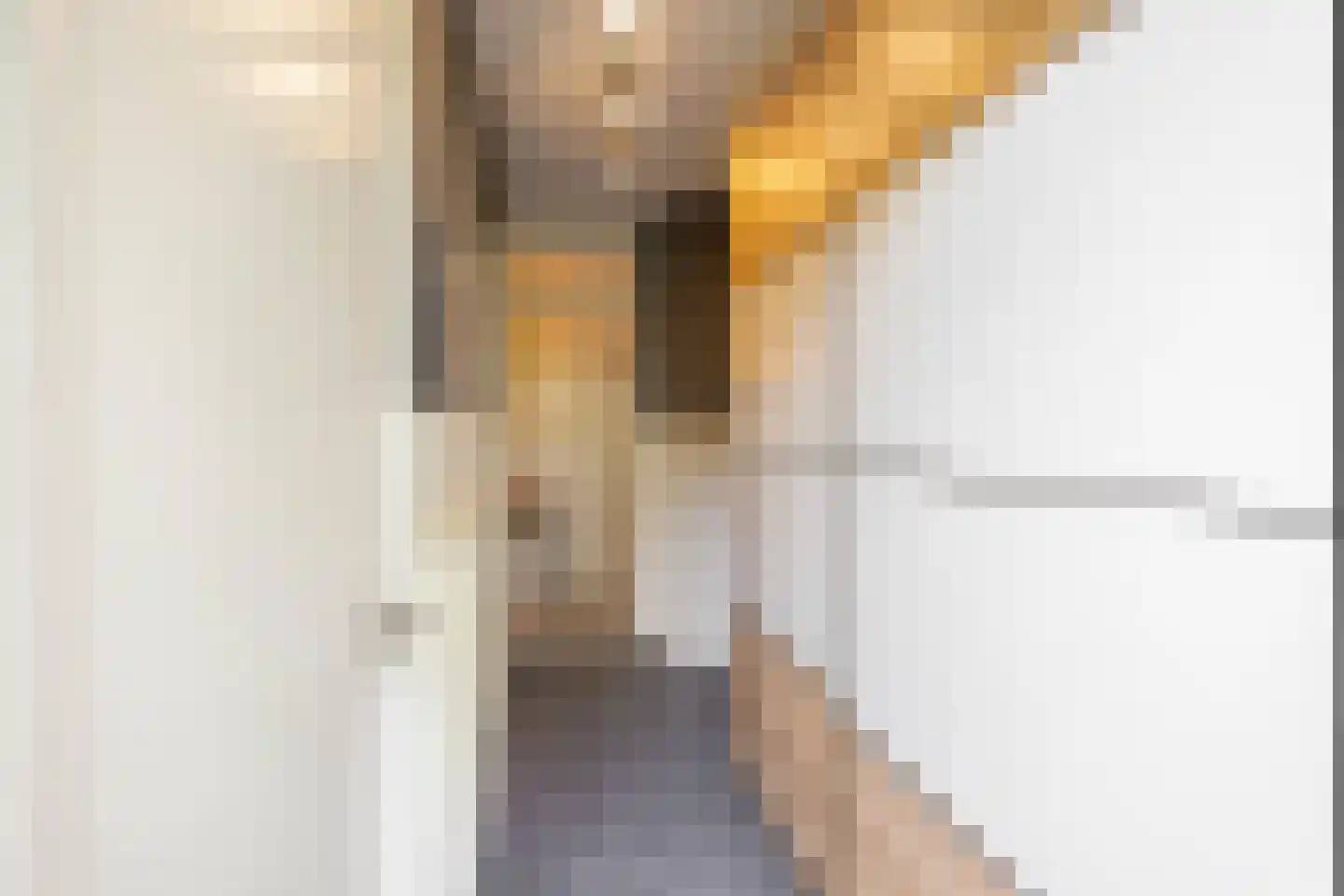 Duindoornstraat 25 Groningen thumbnail 29
