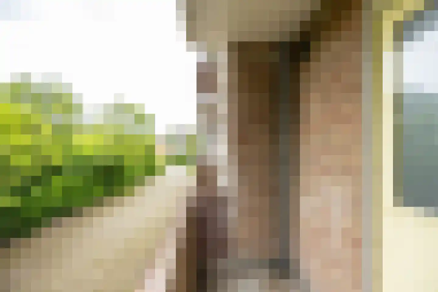 Duindoornstraat 25 Groningen thumbnail 30