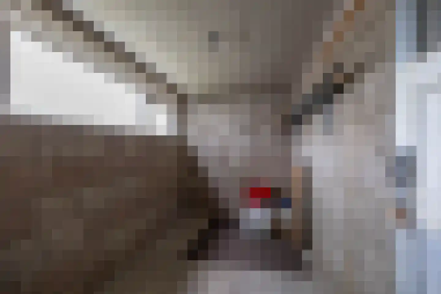 Duindoornstraat 25 Groningen thumbnail 32
