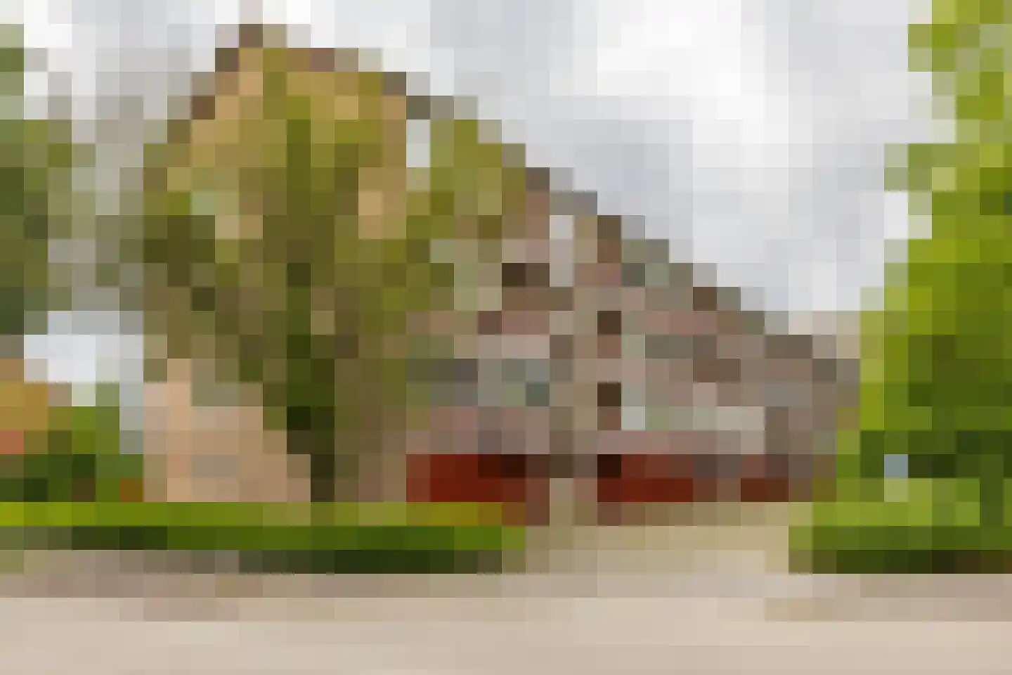 Duindoornstraat 25 Groningen thumbnail 34