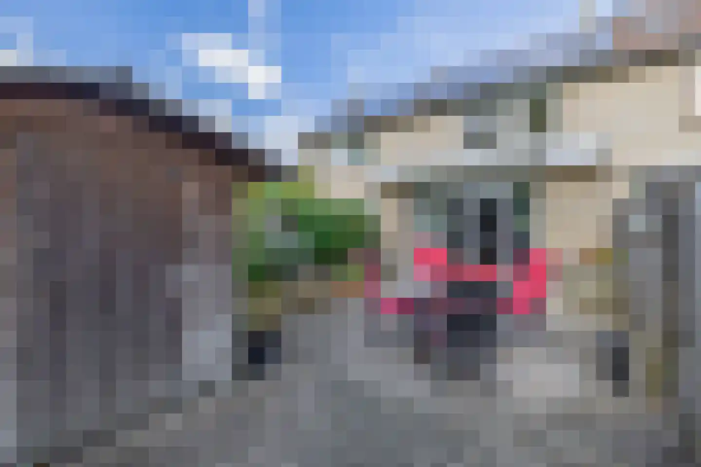 Duindoornstraat 27 Venlo thumbnail 18