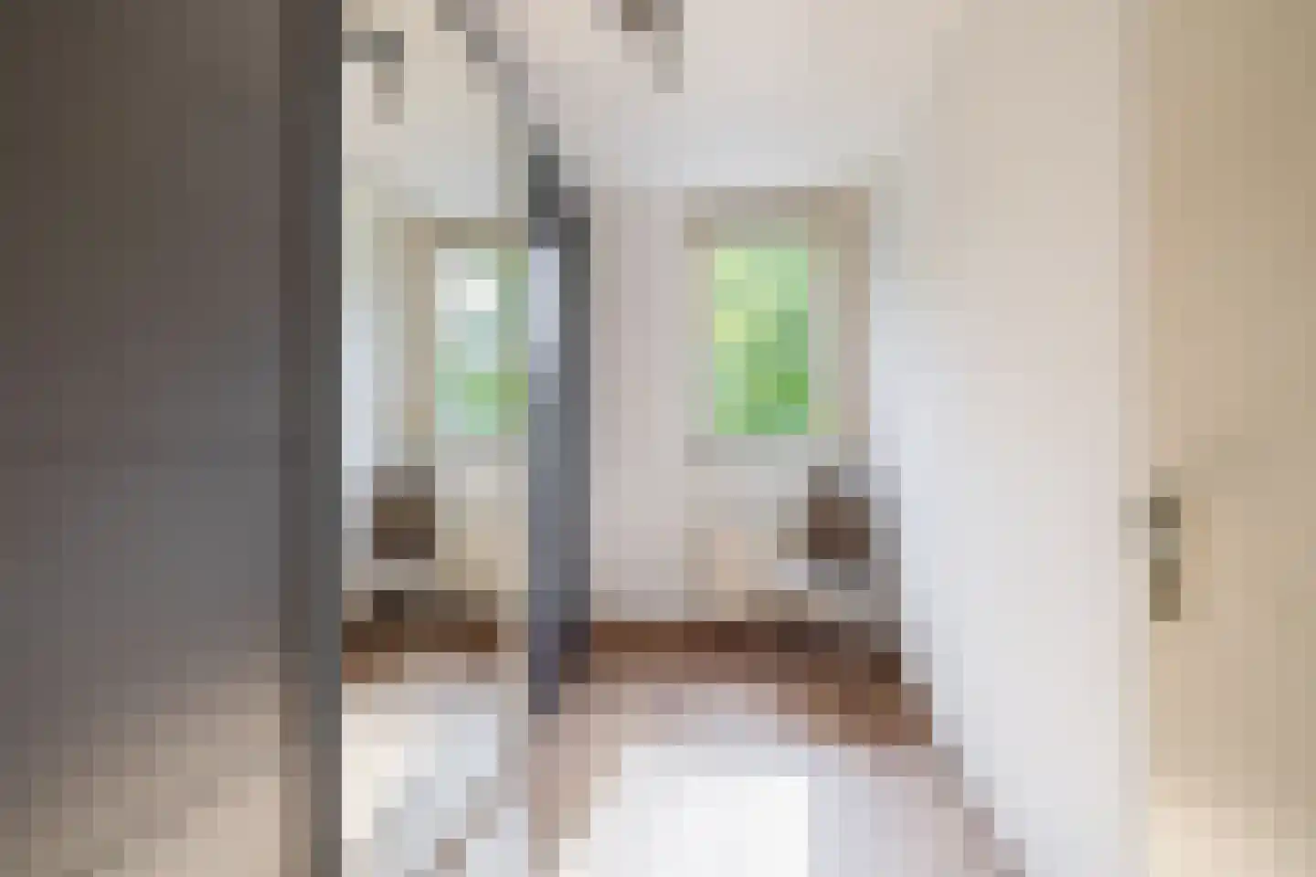 Duindoornstraat 27 Venlo thumbnail 23