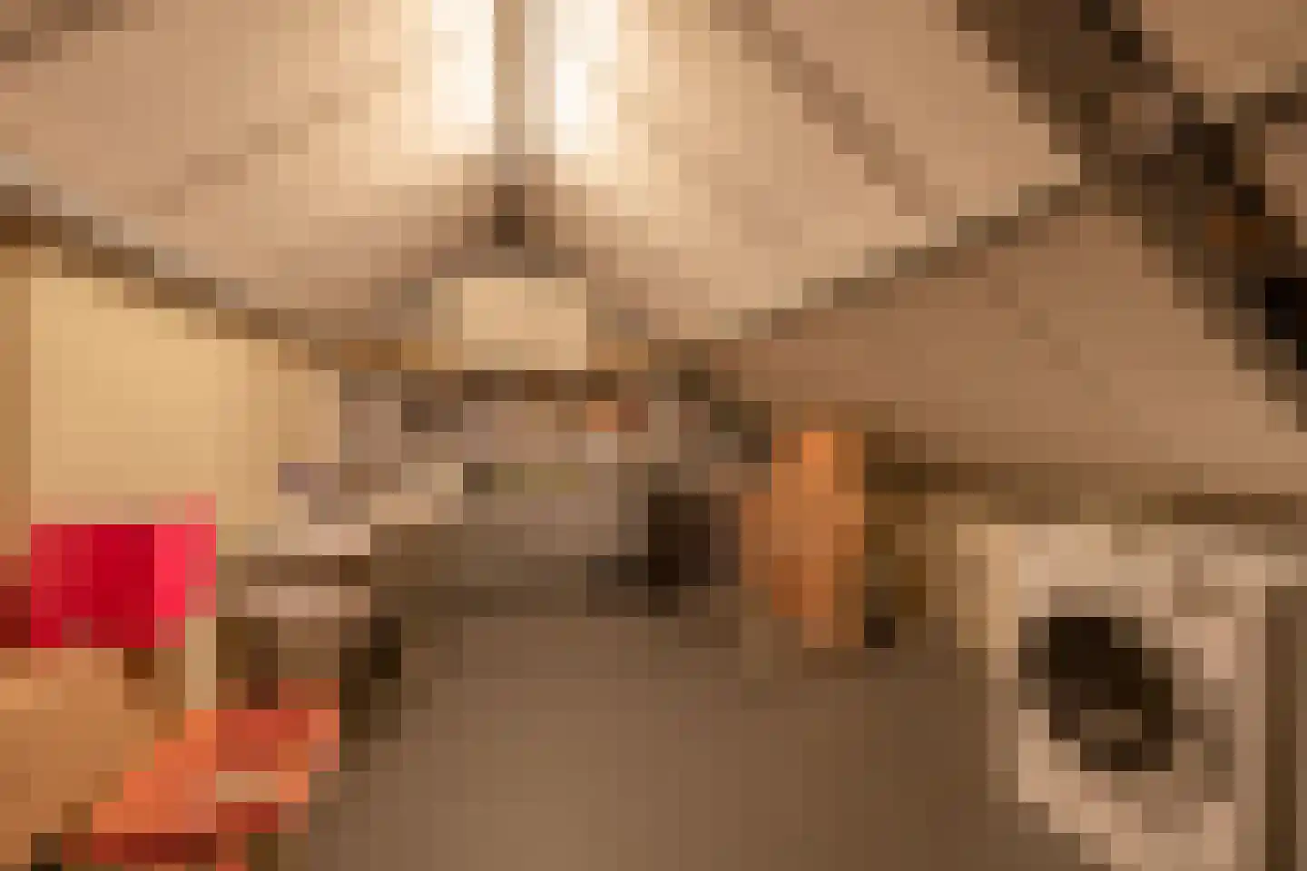 Duindoornstraat 27 Venlo thumbnail 26