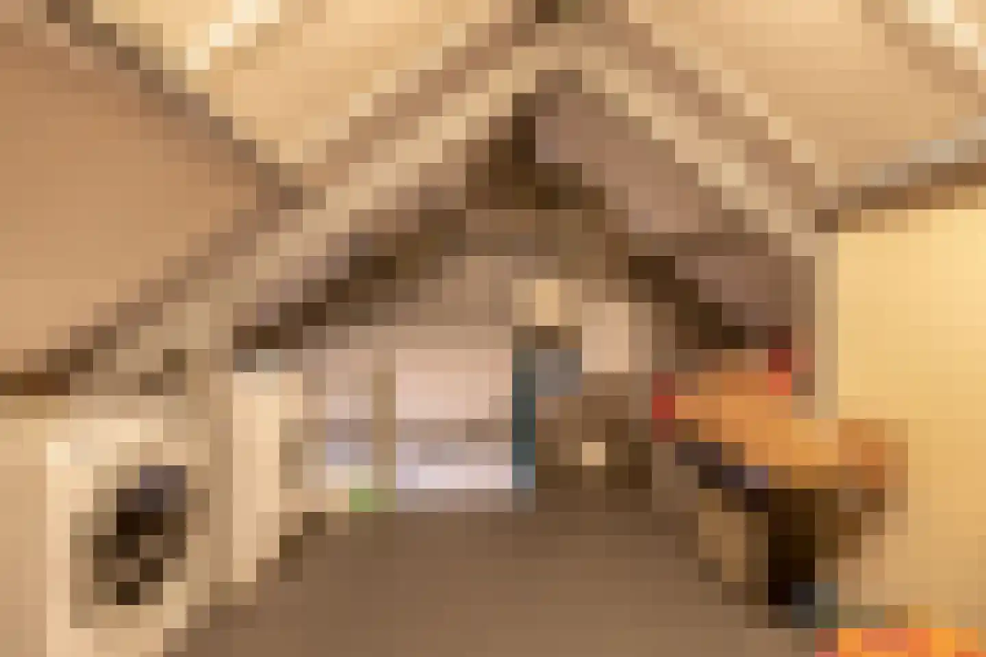 Duindoornstraat 27 Venlo thumbnail 27