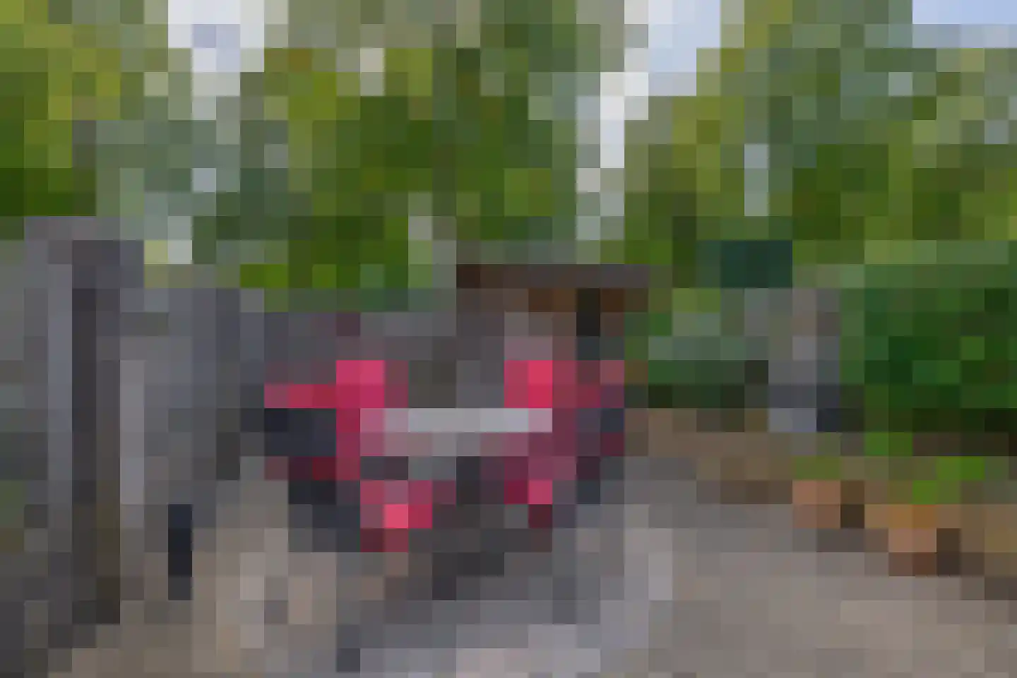 Duindoornstraat 27 Venlo thumbnail 5