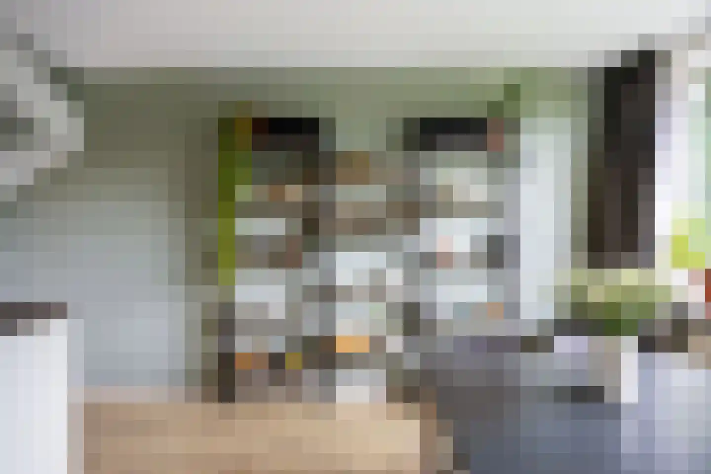 Duindoornstraat 33 Groningen thumbnail 20