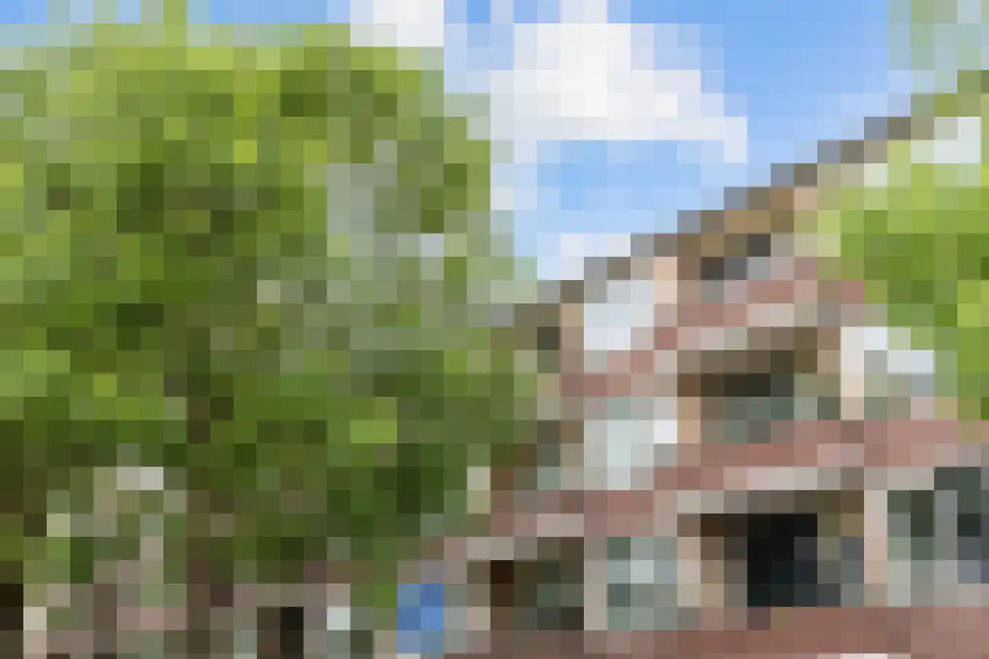 Duindoornstraat 33 Groningen thumbnail 4