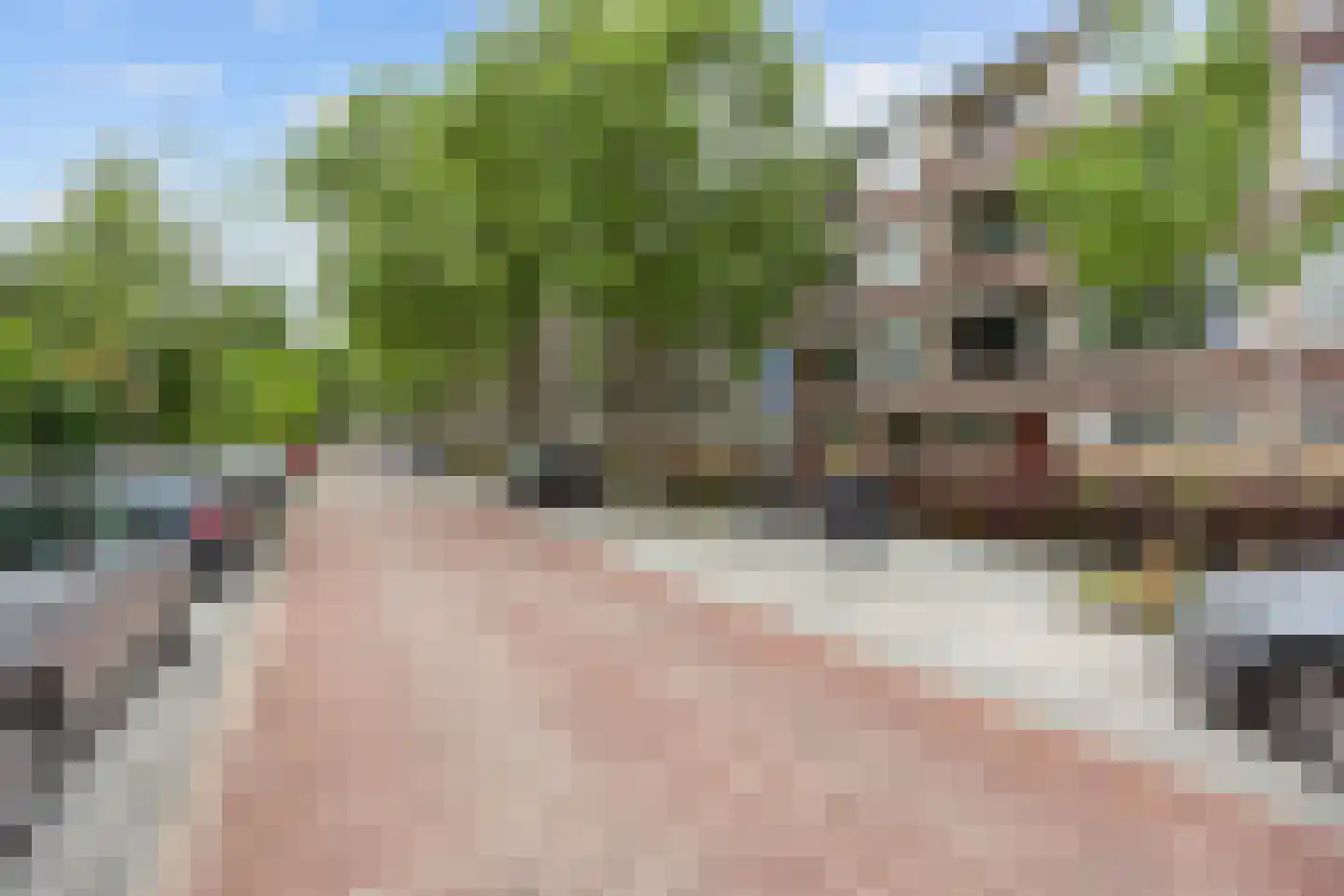 Duindoornstraat 33 Groningen thumbnail 43