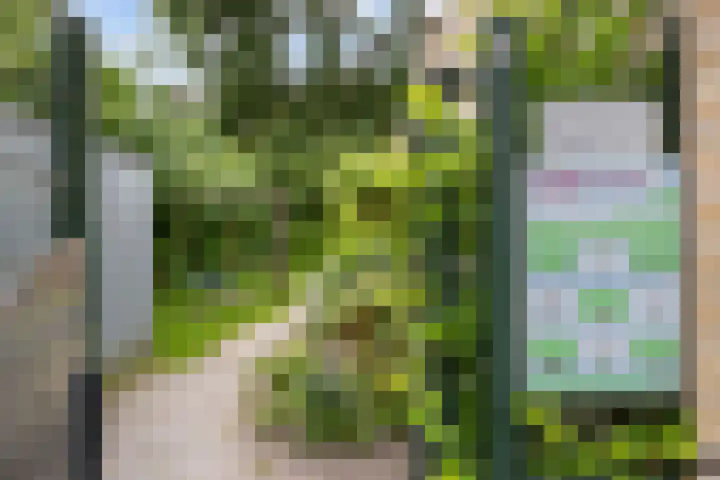 Duindoornstraat 33 Groningen thumbnail 44