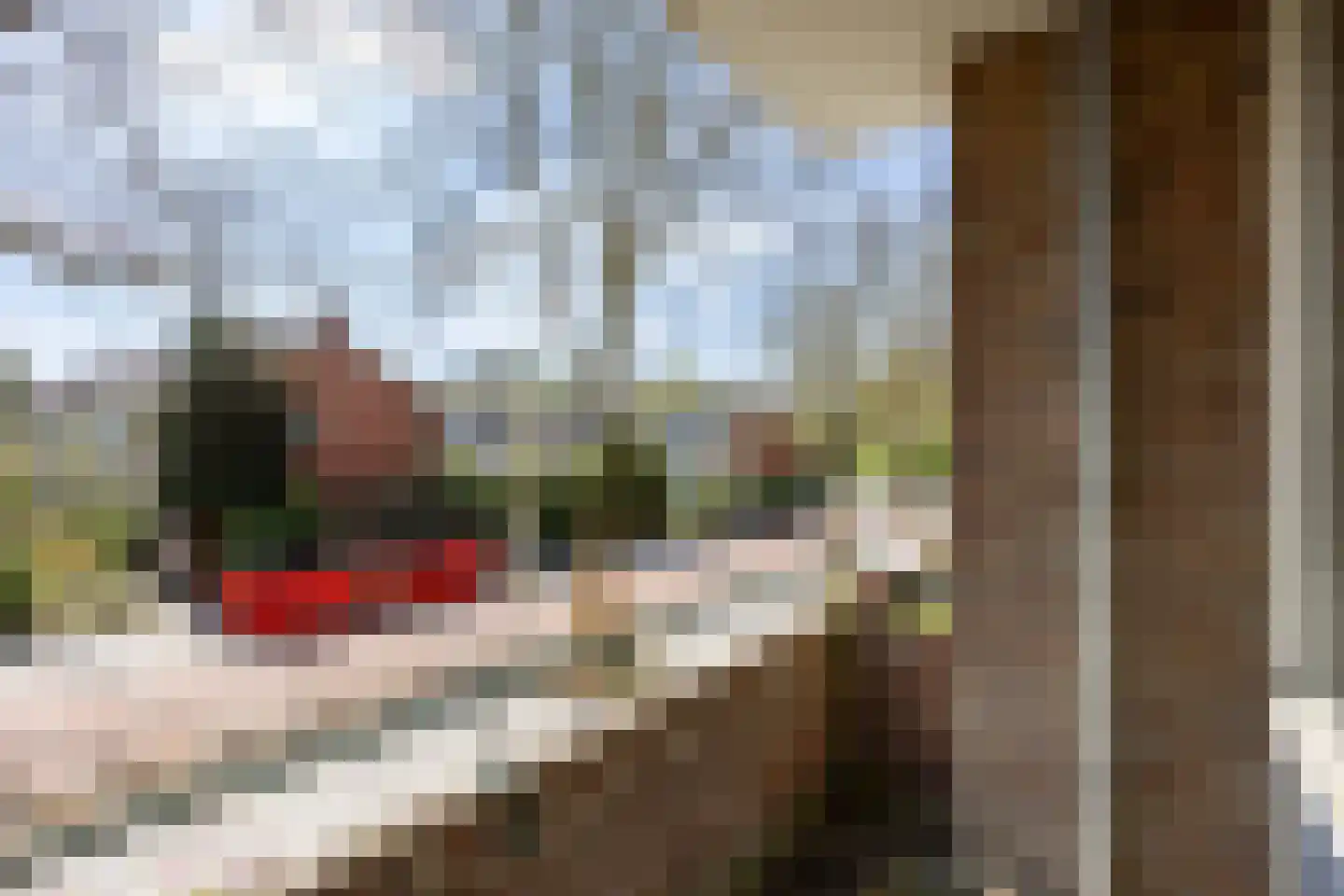 Duindoornstraat 39 Groningen thumbnail 15