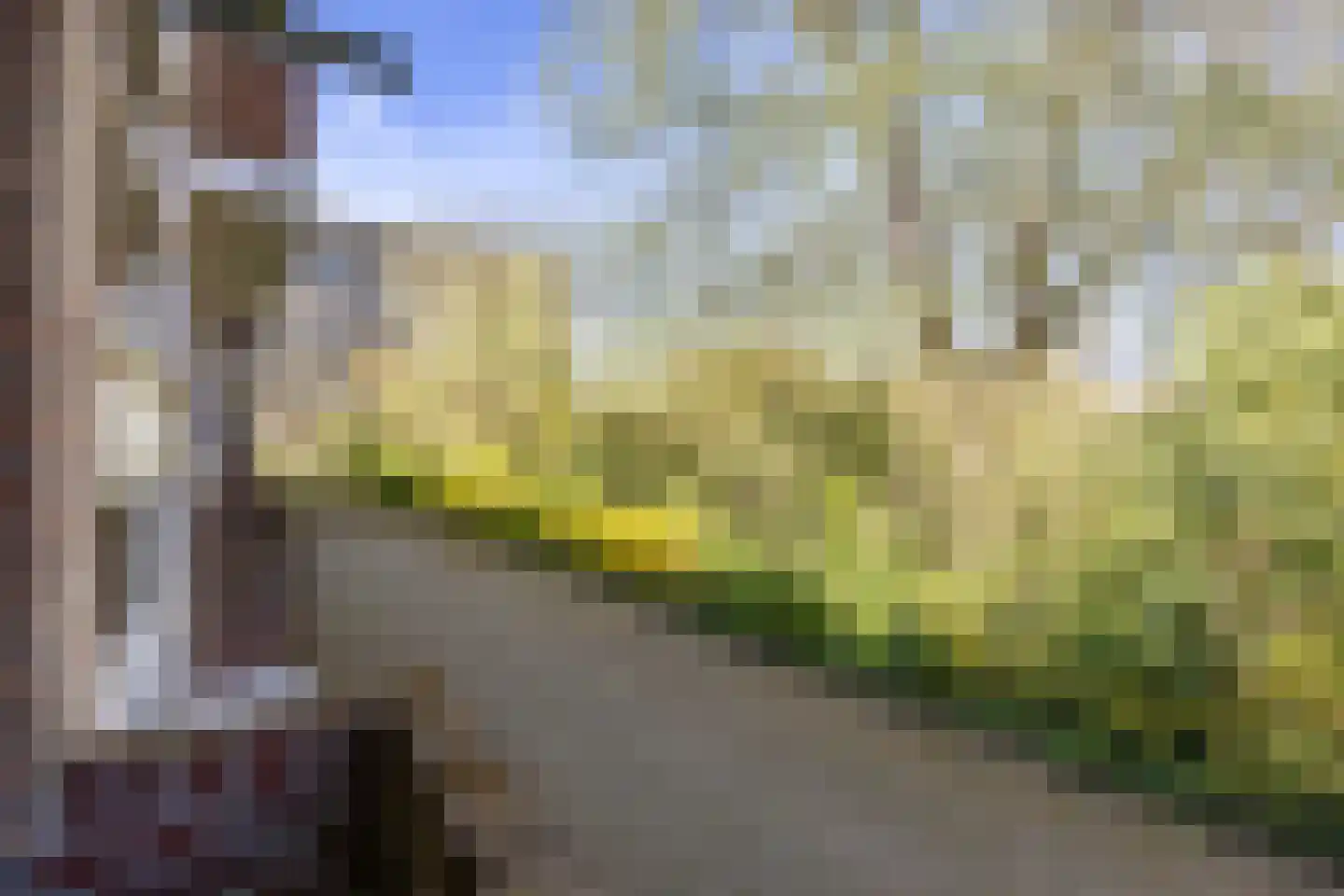 Duindoornstraat 39 Groningen thumbnail 18