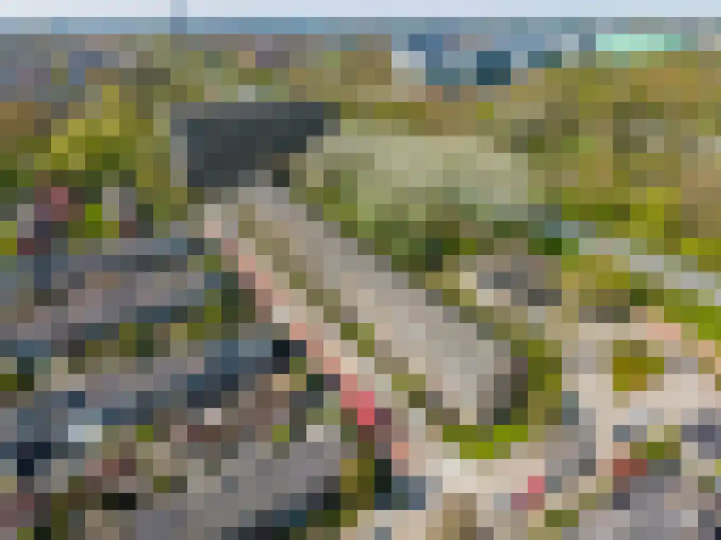 Duindoornstraat 39 Groningen thumbnail 22