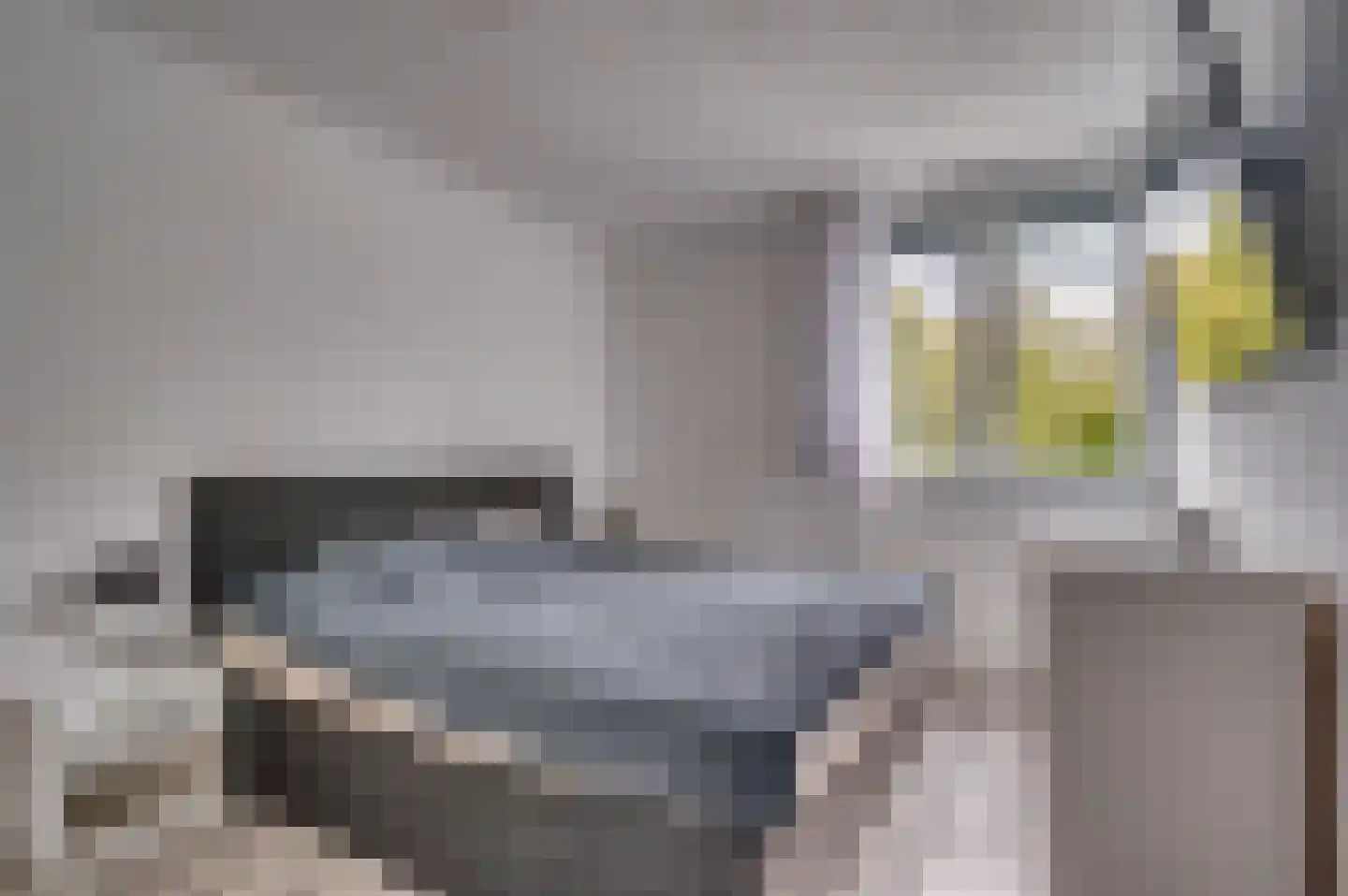 Duindoornstraat 49 Venlo thumbnail 11