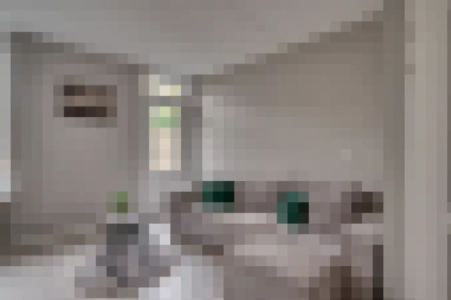 Duindoornstraat 49 Venlo thumbnail 4