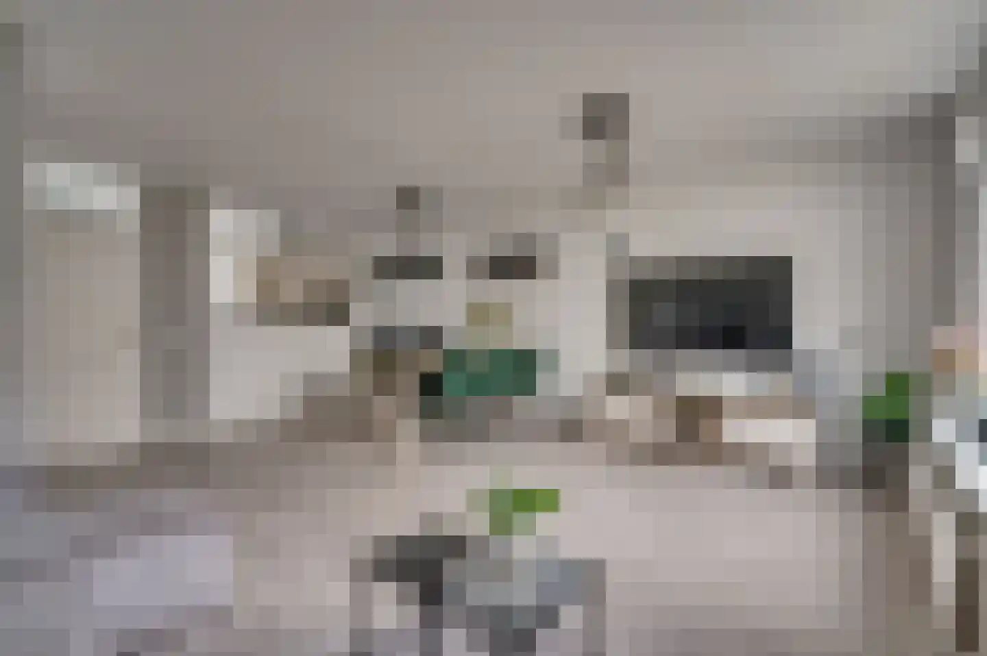 Duindoornstraat 49 Venlo thumbnail 5