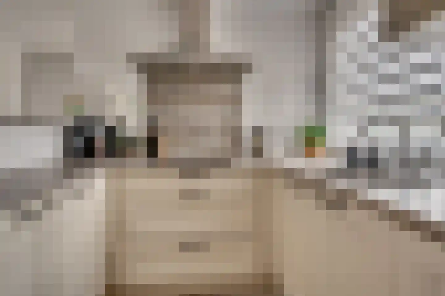Duindoornstraat 49 Venlo thumbnail 8