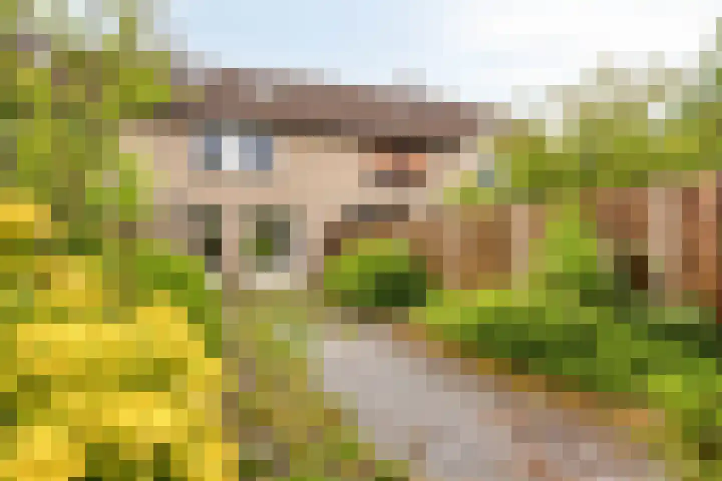 Duindoornstraat 50 Venlo thumbnail 18