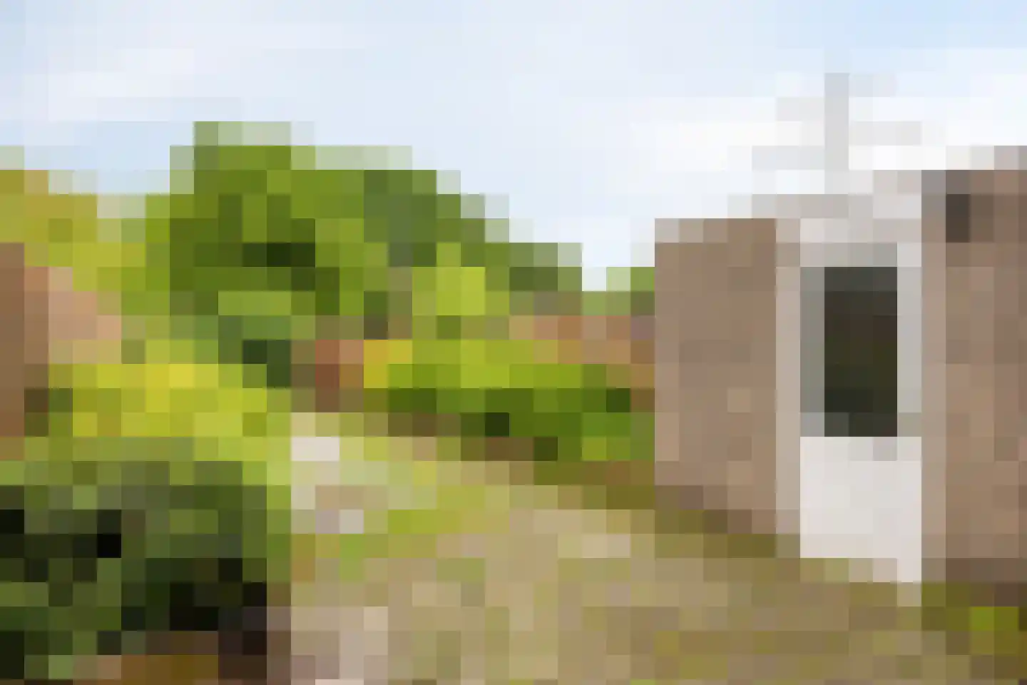 Duindoornstraat 50 Venlo thumbnail 20