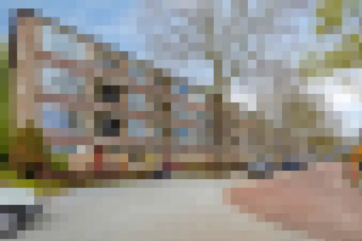 Duindoornstraat 55 in Groningen