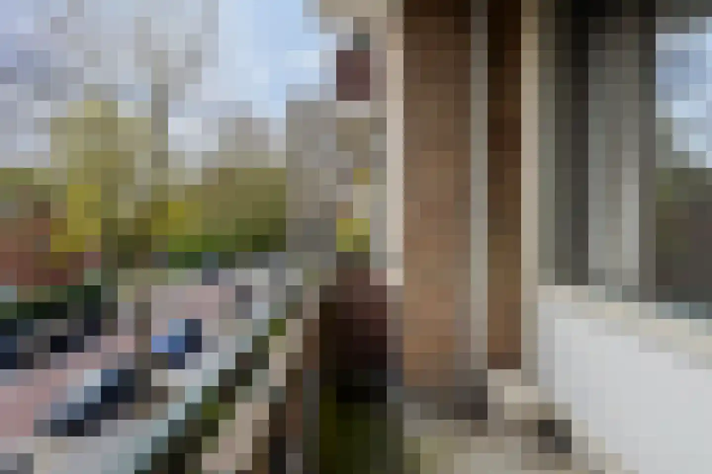 Duindoornstraat 55 Groningen thumbnail 27