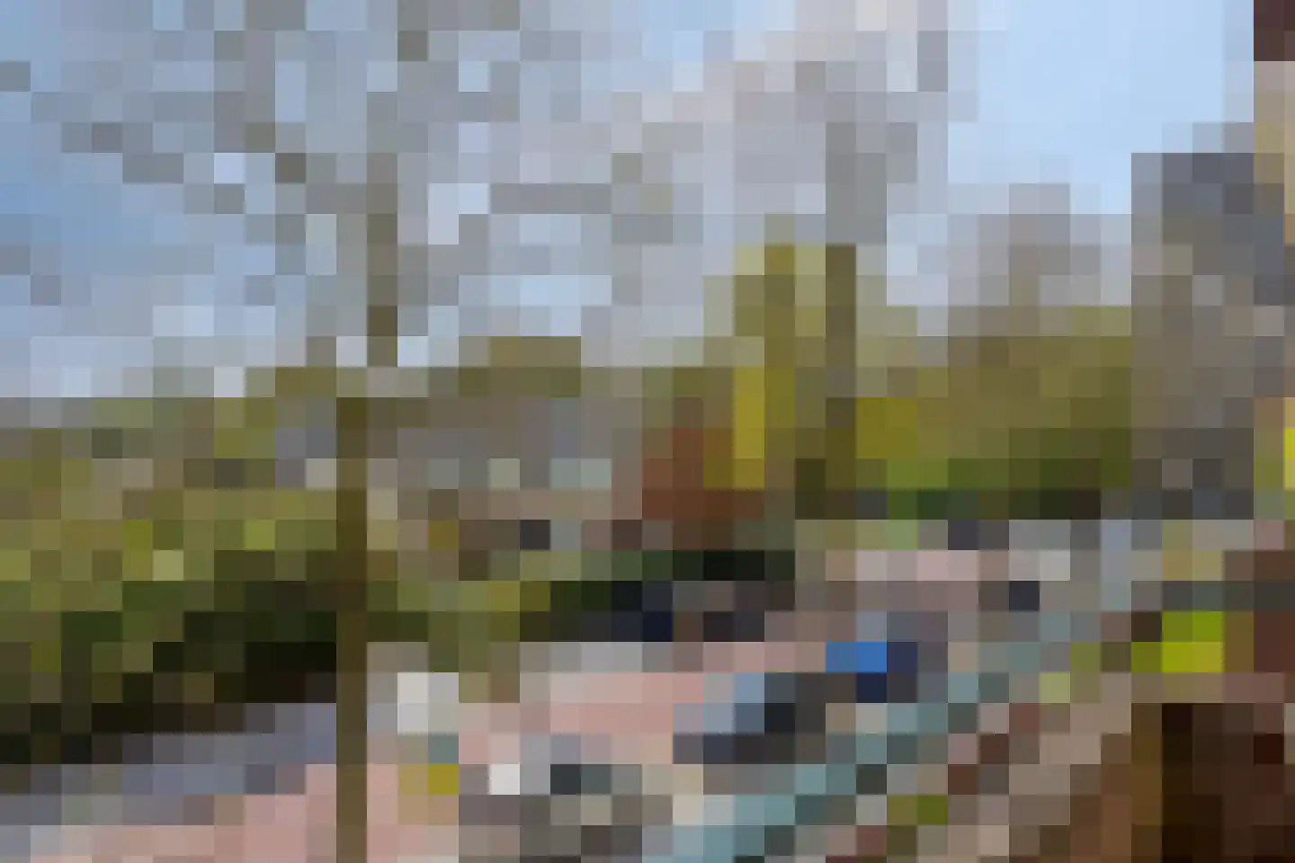 Duindoornstraat 55 Groningen thumbnail 29