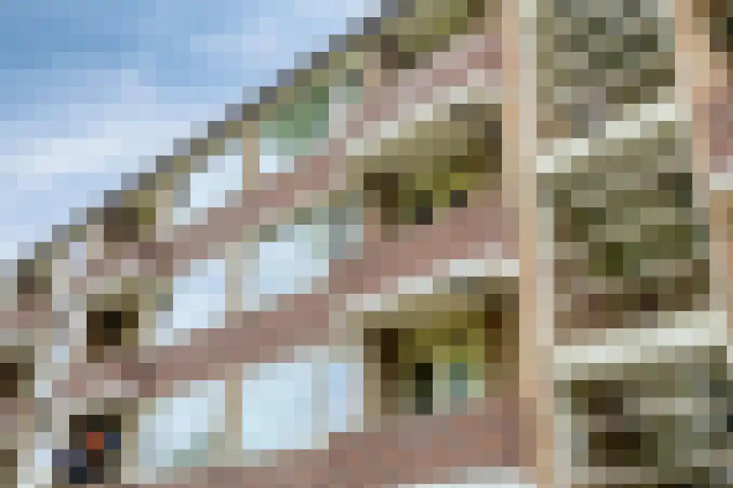 Duindoornstraat 55 Groningen thumbnail 31