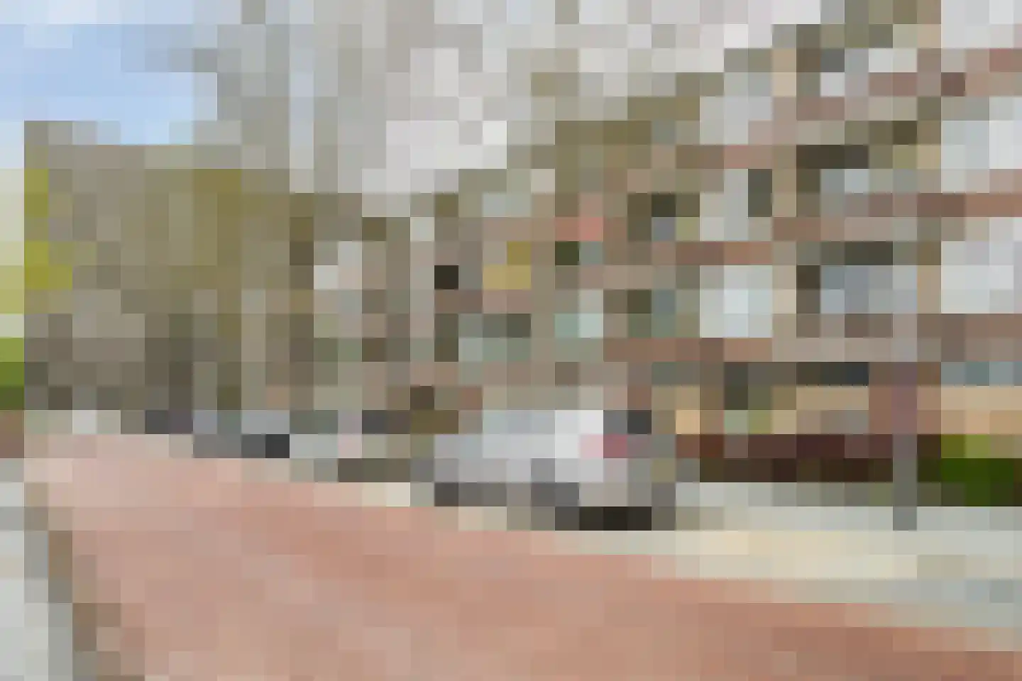 Duindoornstraat 55 Groningen thumbnail 35