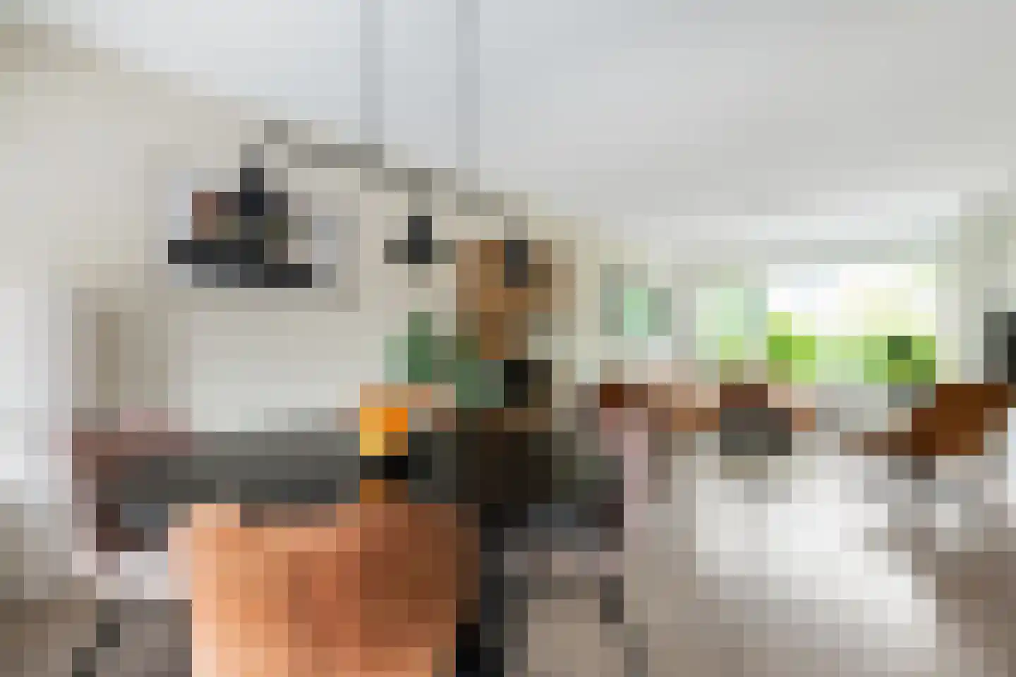 Duindoornstraat 6 Groningen thumbnail 24