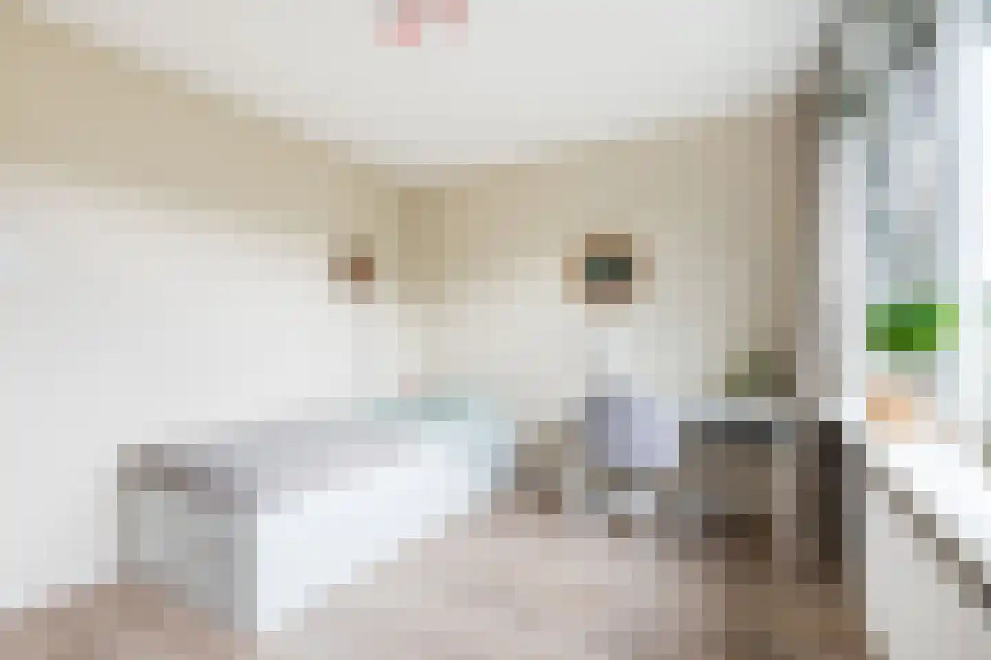 Duindoornstraat 6 Groningen thumbnail 24