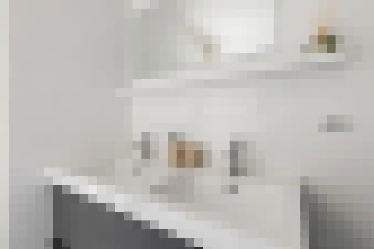 Duindoornstraat 6 Groningen thumbnail 36
