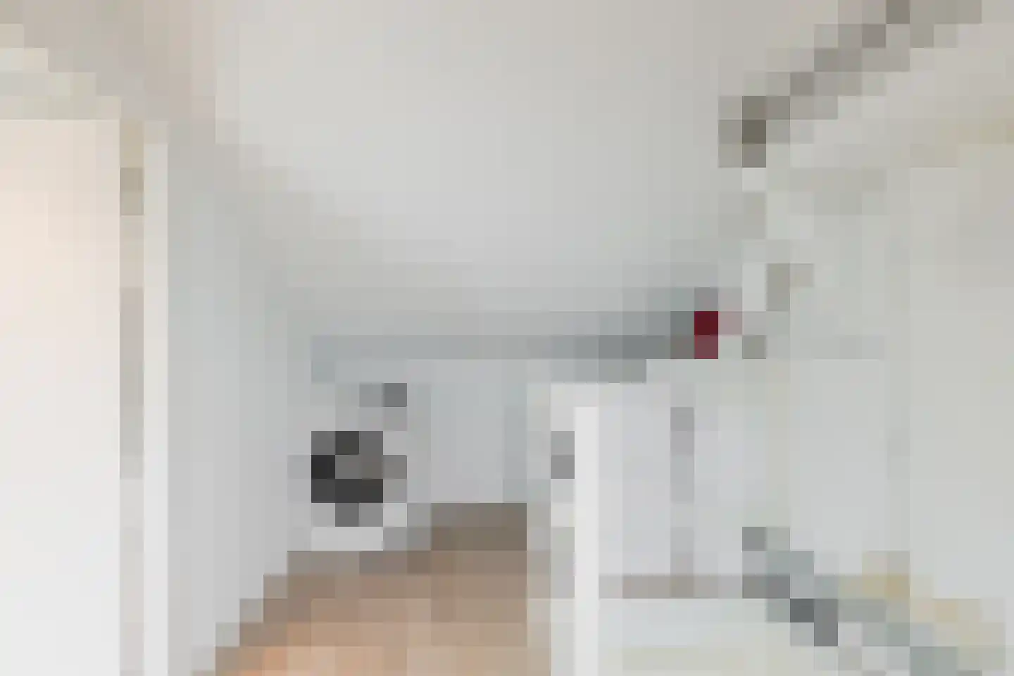Duindoornstraat 6 Groningen thumbnail 38