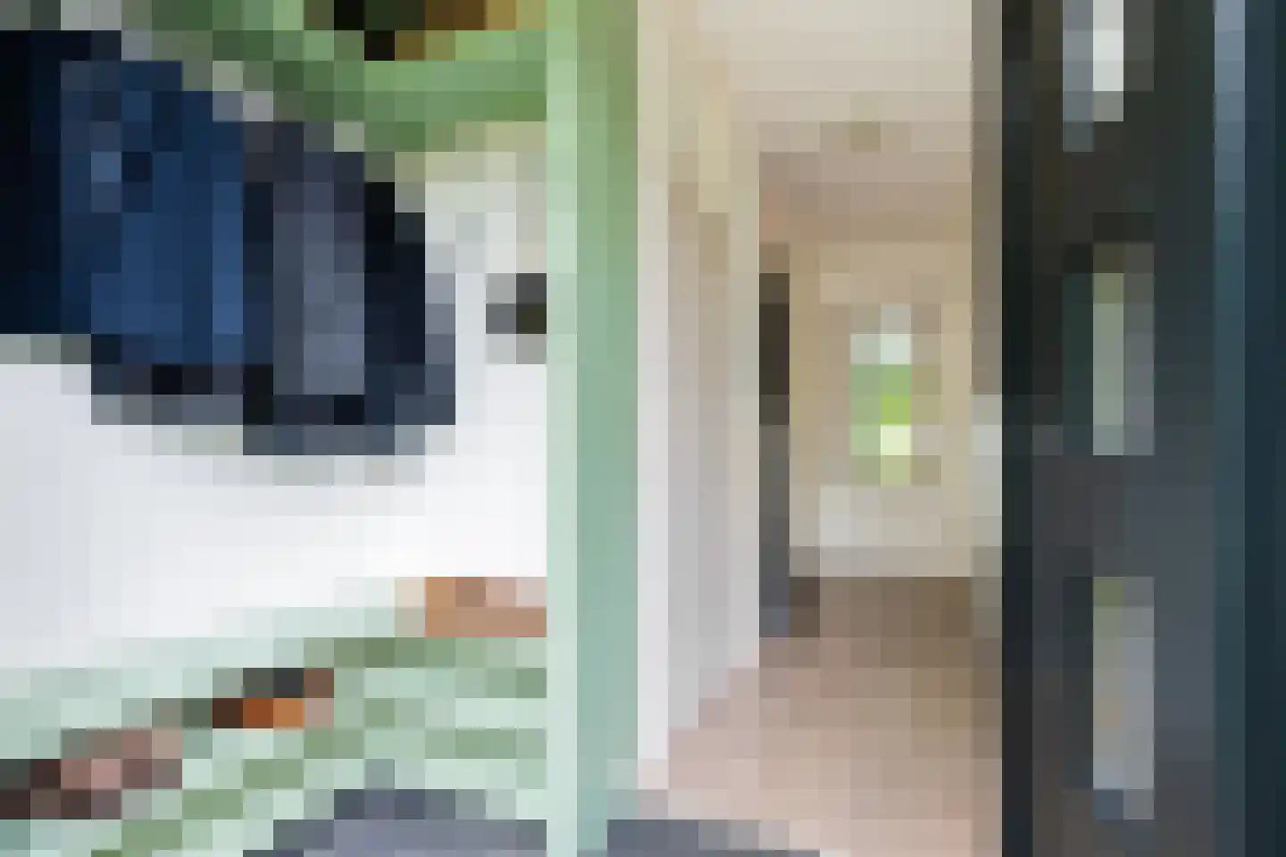 Duindoornstraat 6 Groningen thumbnail 7