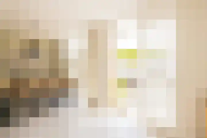 Duindoornstraat 6 Noordwijkerhout thumbnail 11