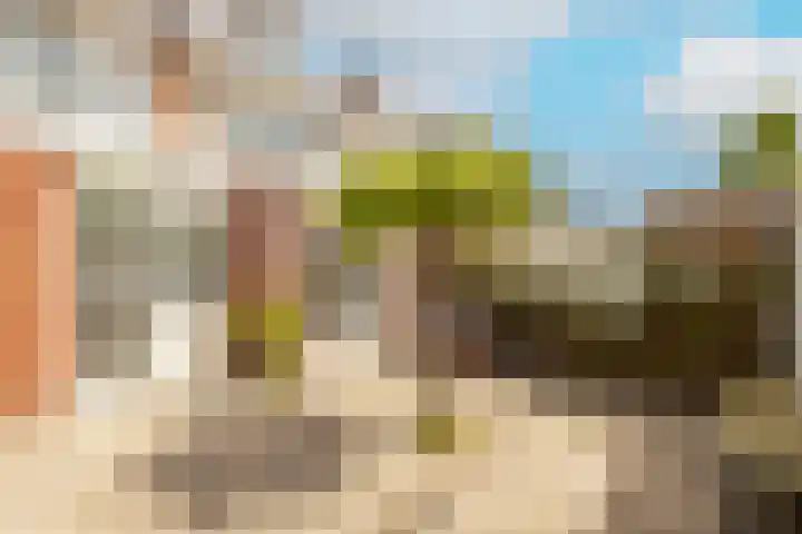 Duindoornstraat 6 Noordwijkerhout thumbnail 15
