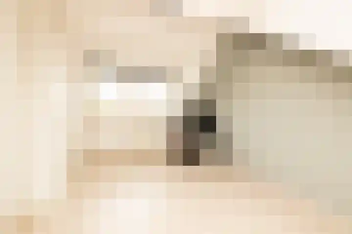 Duindoornstraat 6 Noordwijkerhout thumbnail 30