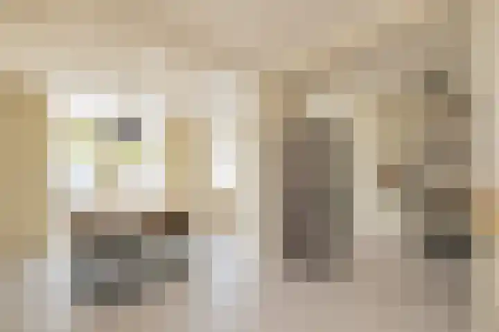 Duindoornstraat 6 Noordwijkerhout thumbnail 6