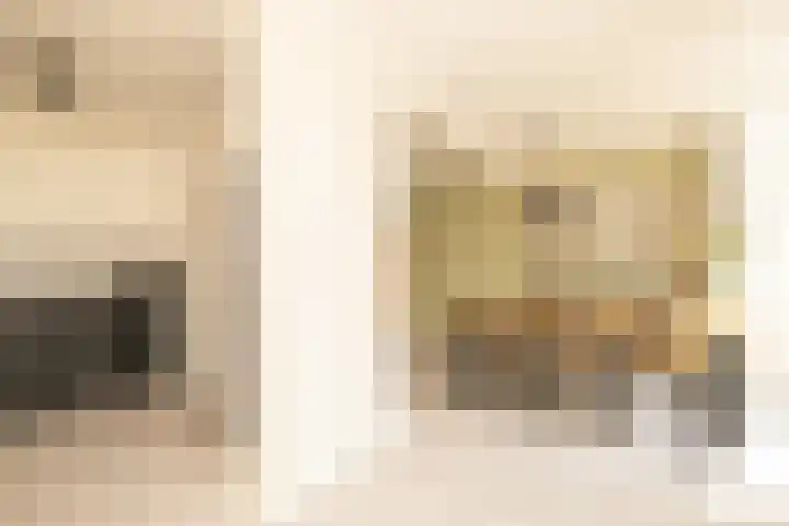 Duindoornstraat 6 Noordwijkerhout thumbnail 8