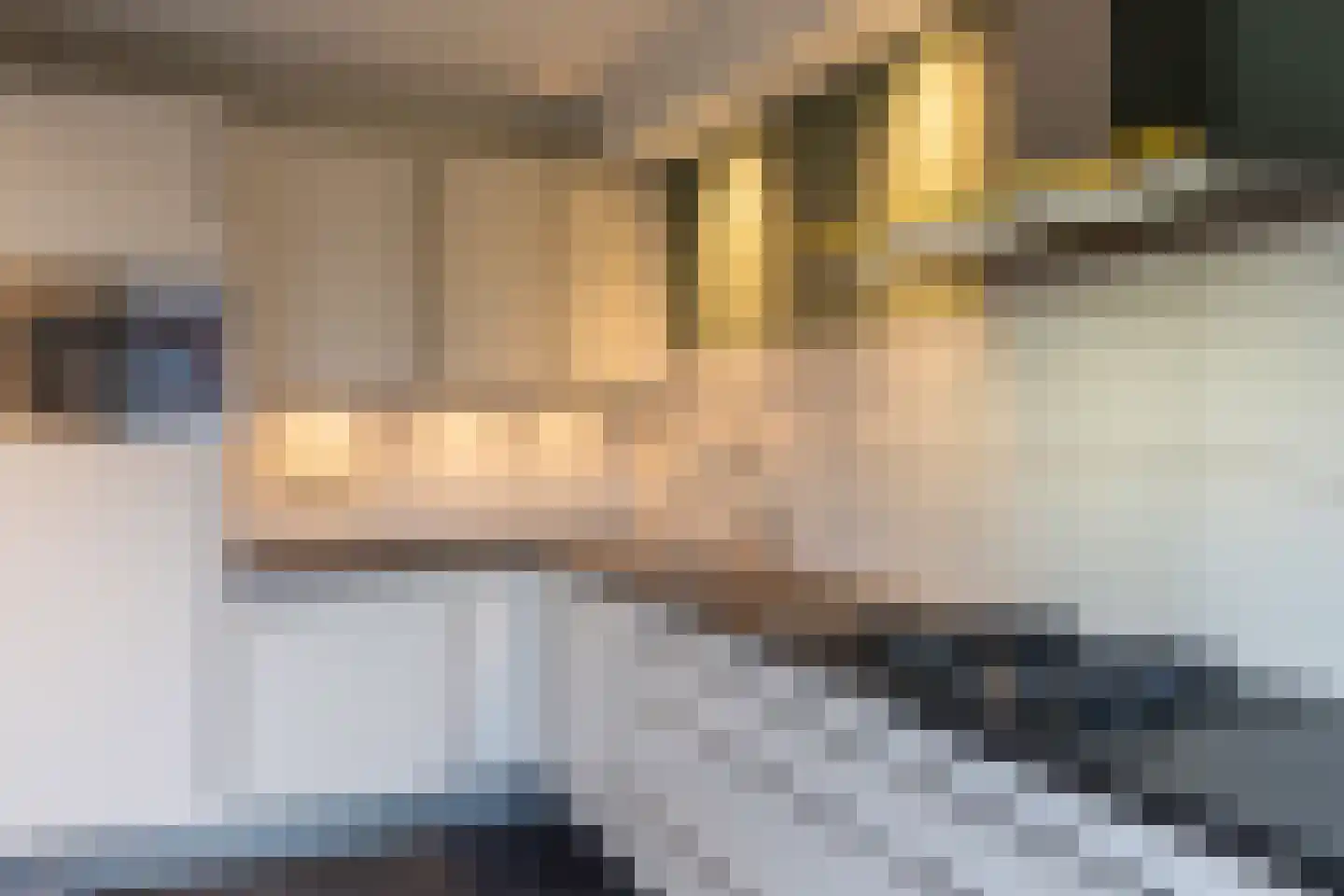 Duindoornstraat 62 Almelo thumbnail 11
