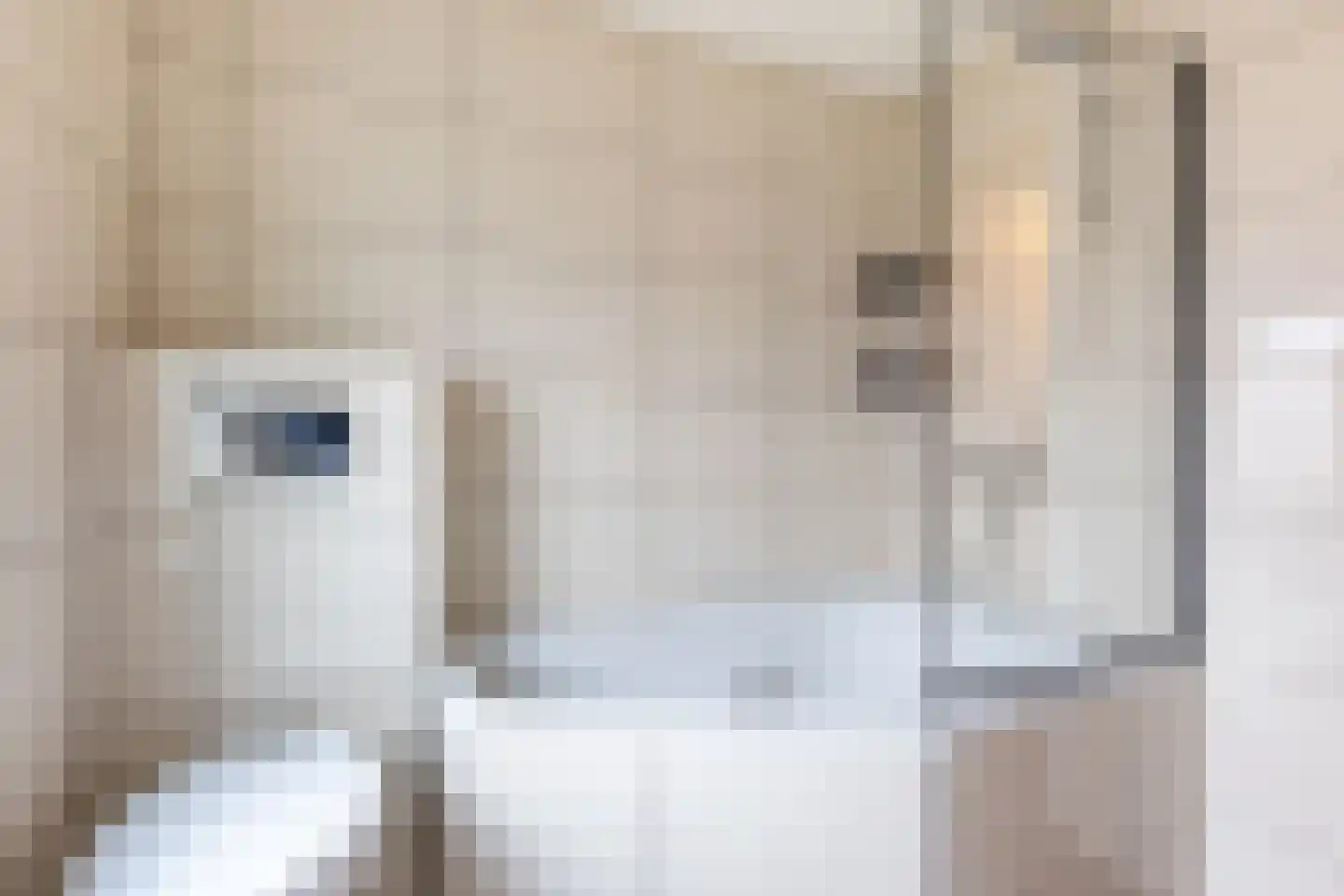 Duindoornstraat 62 Almelo thumbnail 4