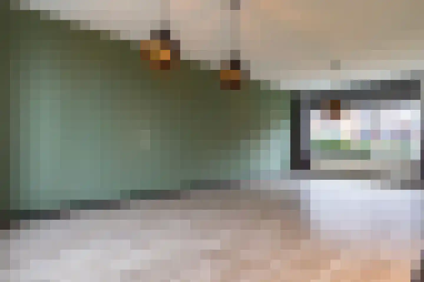Duindoornstraat 62 Almelo thumbnail 8